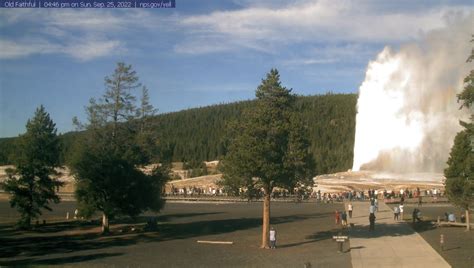 Old Faithful Live